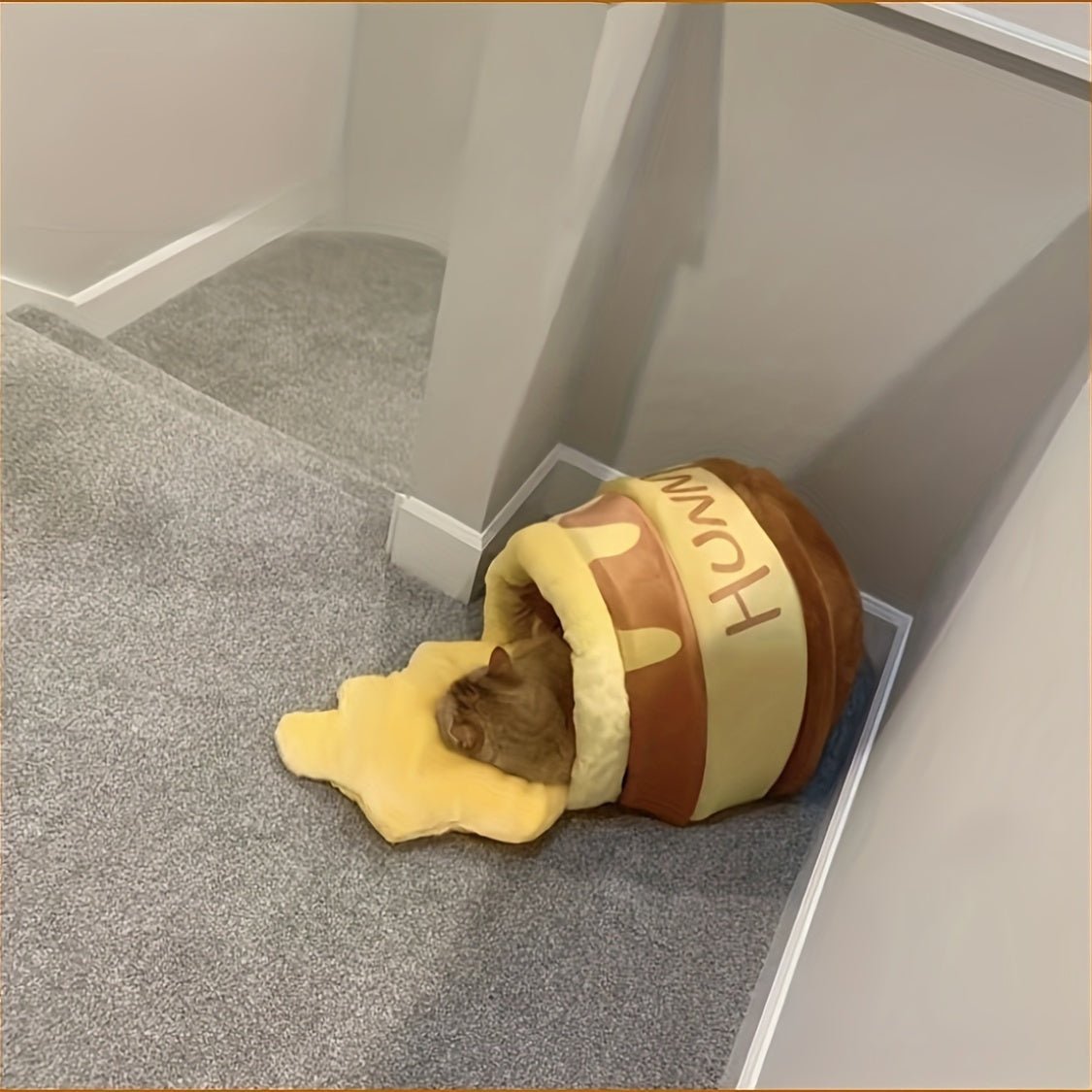 Honey Pot Cat Bed – Cozy Plush Hideaway with Removable Cover for Cats up to 8kg - TopCat.BG