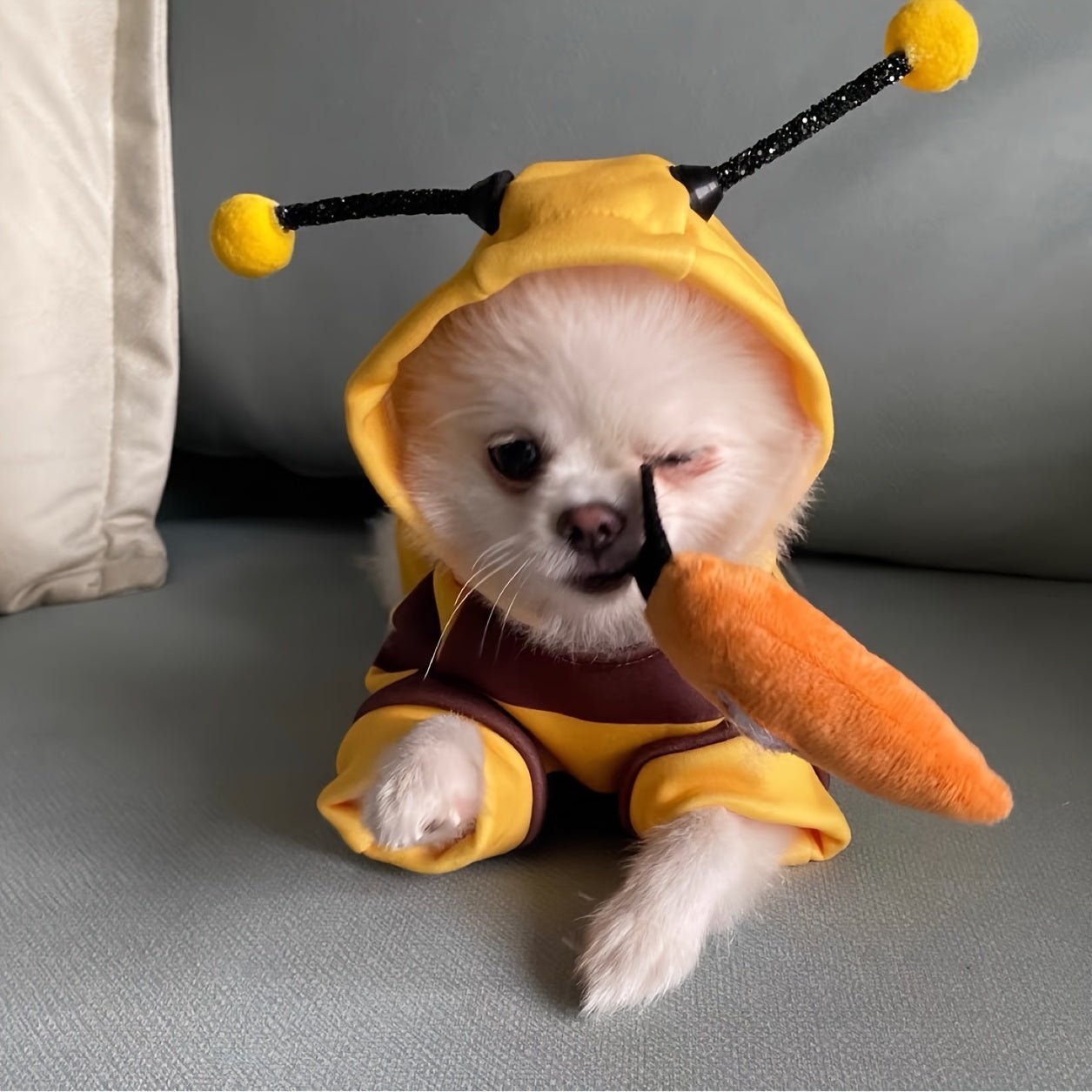 A Pet Hoodie Featuring a Bee Transformation Design, Suitable for Pets Weighing Under 8 Kilograms - TopCat.BG