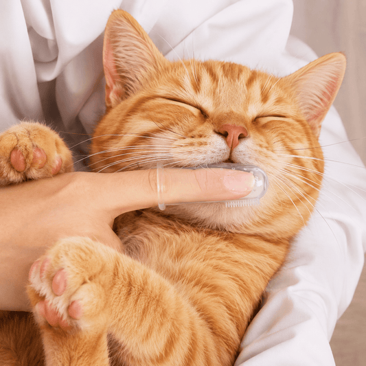 Finger Toothbrushes for Cats & Dogs – Easy Pet Dental Cleaning Set - TopCat.BG